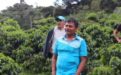 Café de Perú de precio justo de la variedad Caturra