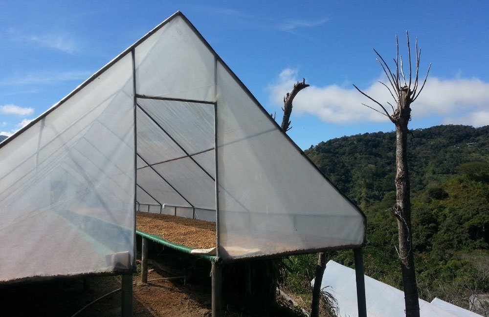 San Francisco sweet and balanced from Cordillera Central in Costa Rica