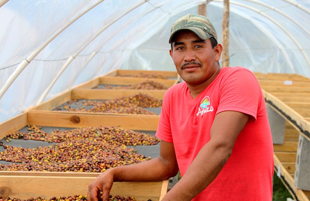 Macerated 90h top specialty coffee from Finca Dayana in Honduras