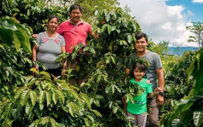 Café de especialidad de Perú producido por mujeres