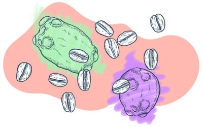 Fermentación anaeróbica del café