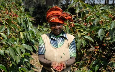 Un café de Acacia Hills en Tanzania balanceado y dulce
