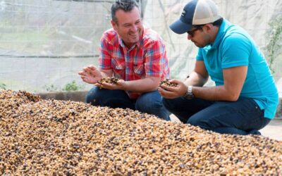 El café de El Perezoso de West Valley en Costa Rica