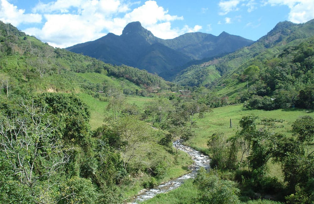 New seasonal espresso from Chontalí in Peru