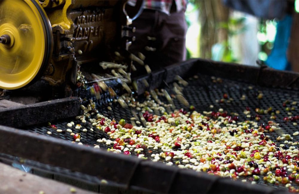 New seasonal espresso from Chontalí in Peru