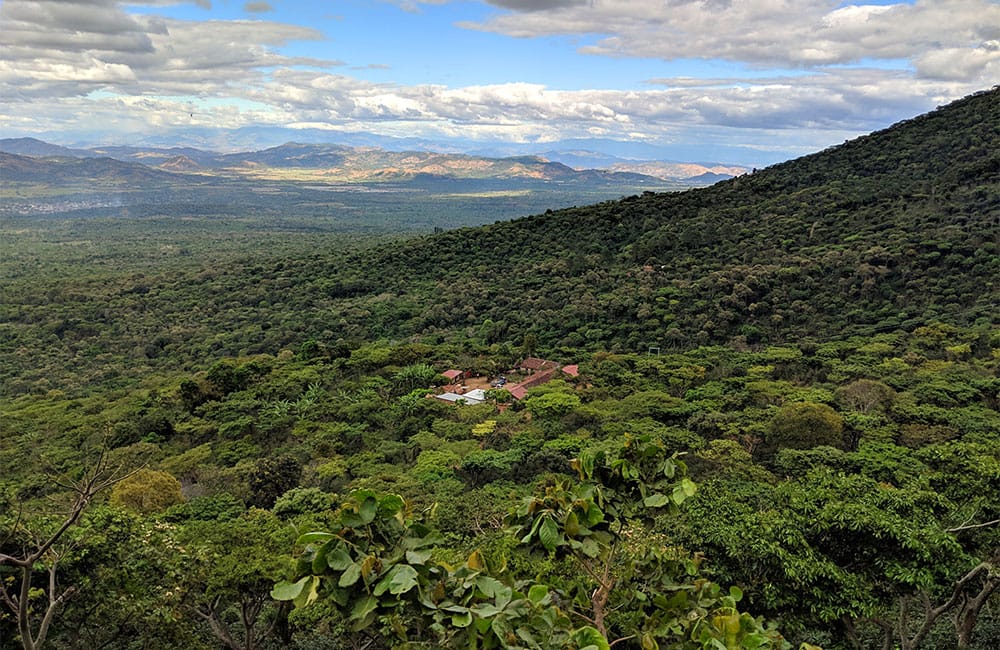 Rodolfo Ruffatti from Finca el Salvador at 1.450 masl.