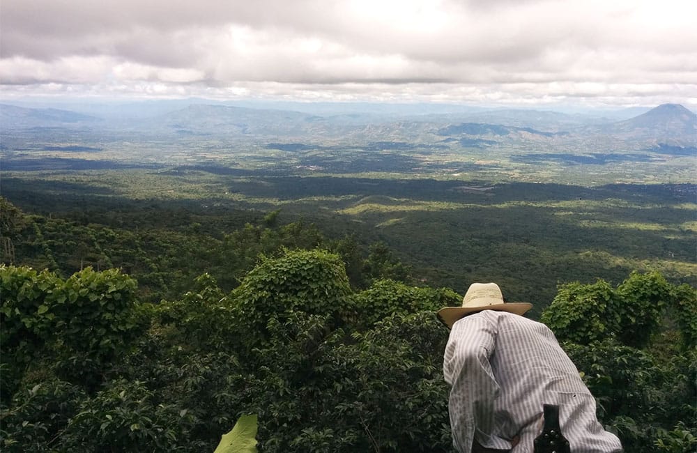 Rodolfo Ruffatti from Finca el Salvador at 1.450 masl.