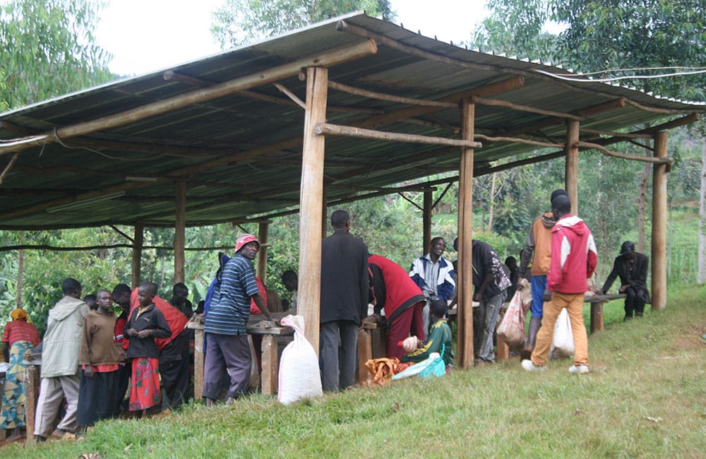 Un café limpio y floral de Yandaro en Burundi a 1.800 msnm