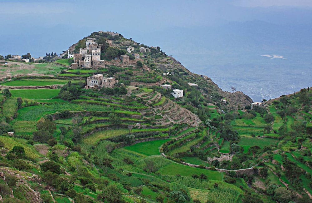 The origin of coffee, history and legend for more than 2500 years