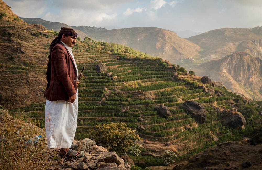 The origin of coffee, history and legend for more than 2500 years