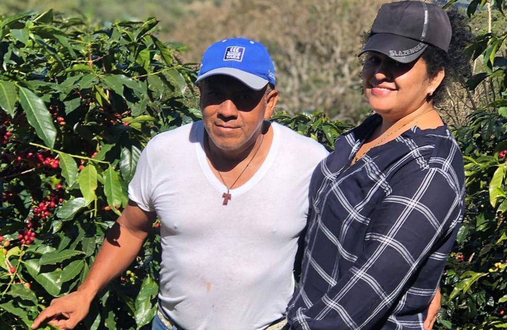 Café de Fraijanes de la finca La Nueva Montaña a 1.550 msnm.