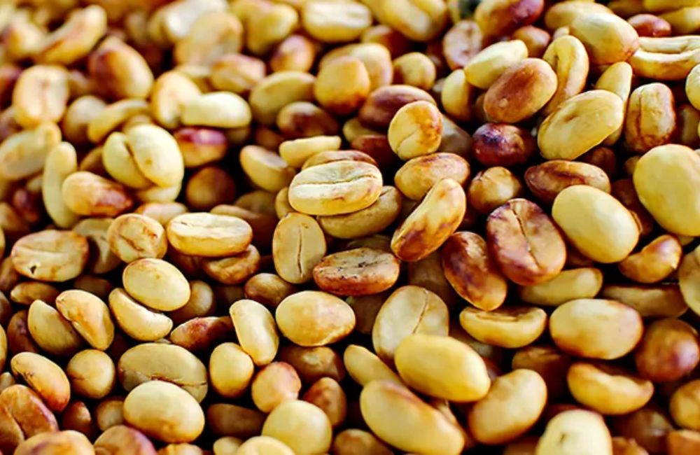 What is yellow honey process coffee?