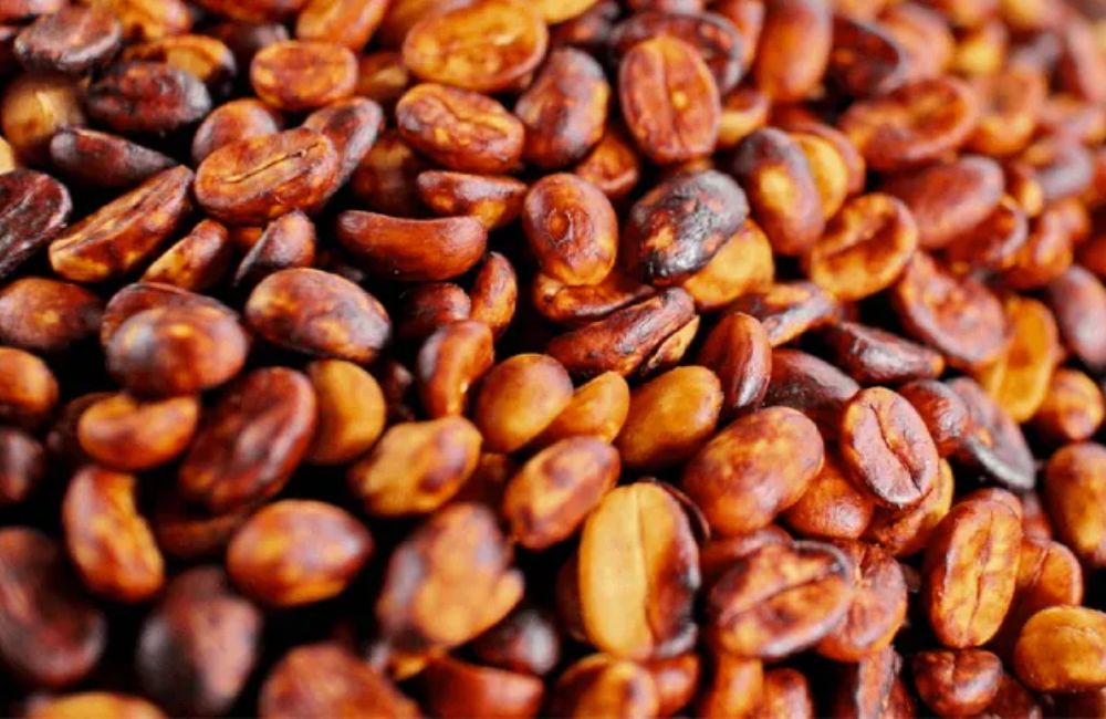 What is red honey process coffee?