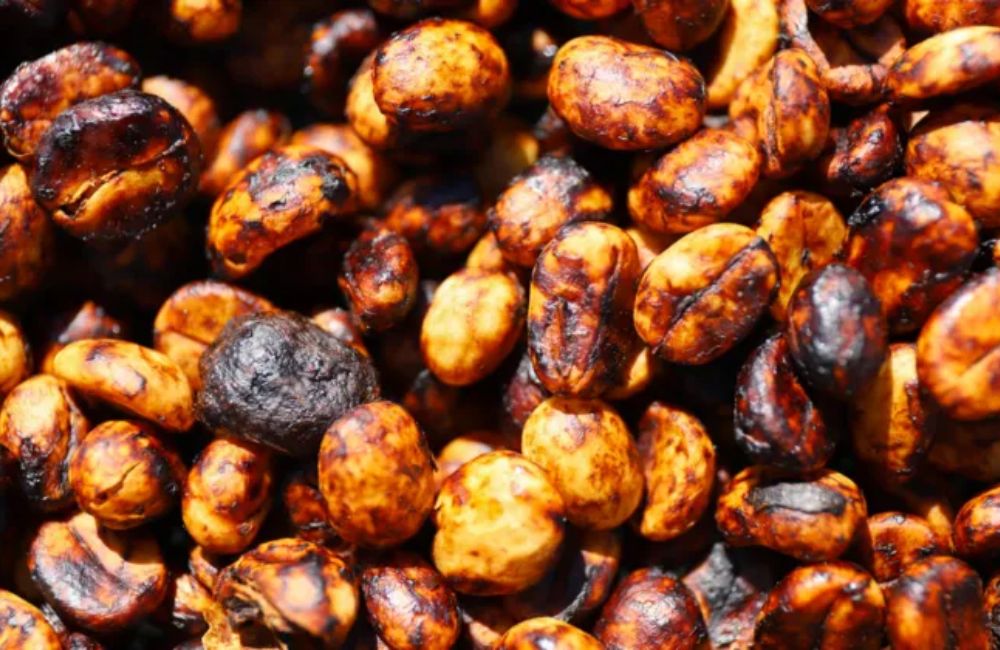 What is black honey process coffee?