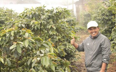Café de Indonesia Kerinci anaeróbico 168 horas