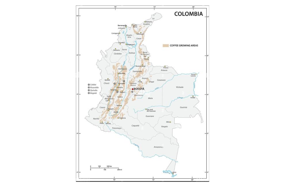 El café colombiano de especialidad está ganando peso en la industria del país.
