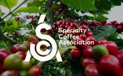 Todo sobre la SCA (Speciality Coffee Association)