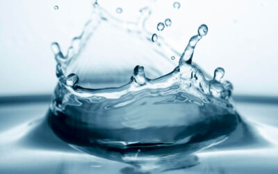 Desmitificando el agua para el café